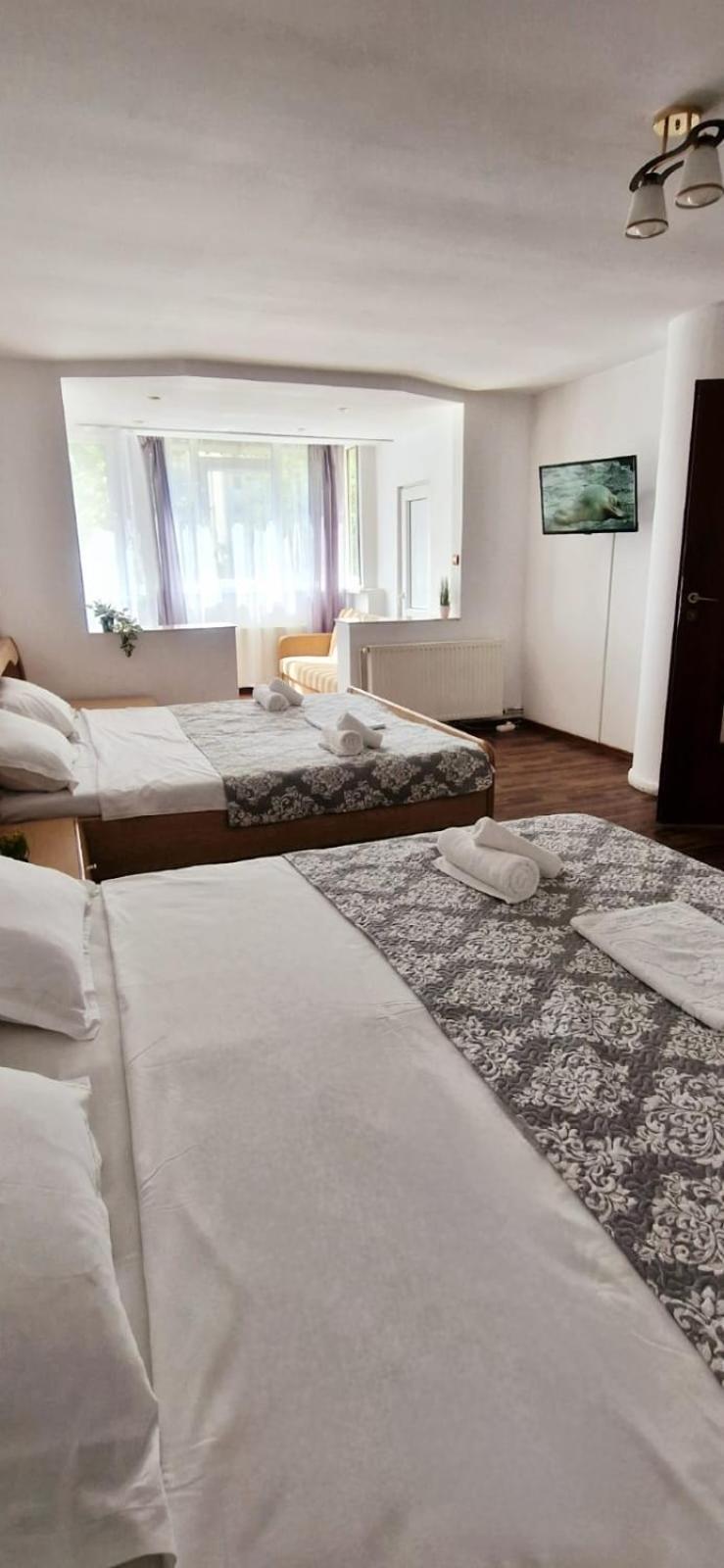 Stephanie Apartment-Centru Civic 布拉索夫 外观 照片
