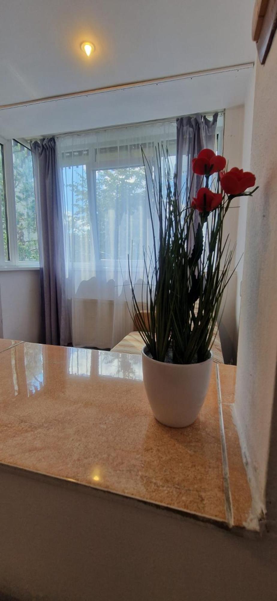 Stephanie Apartment-Centru Civic 布拉索夫 外观 照片