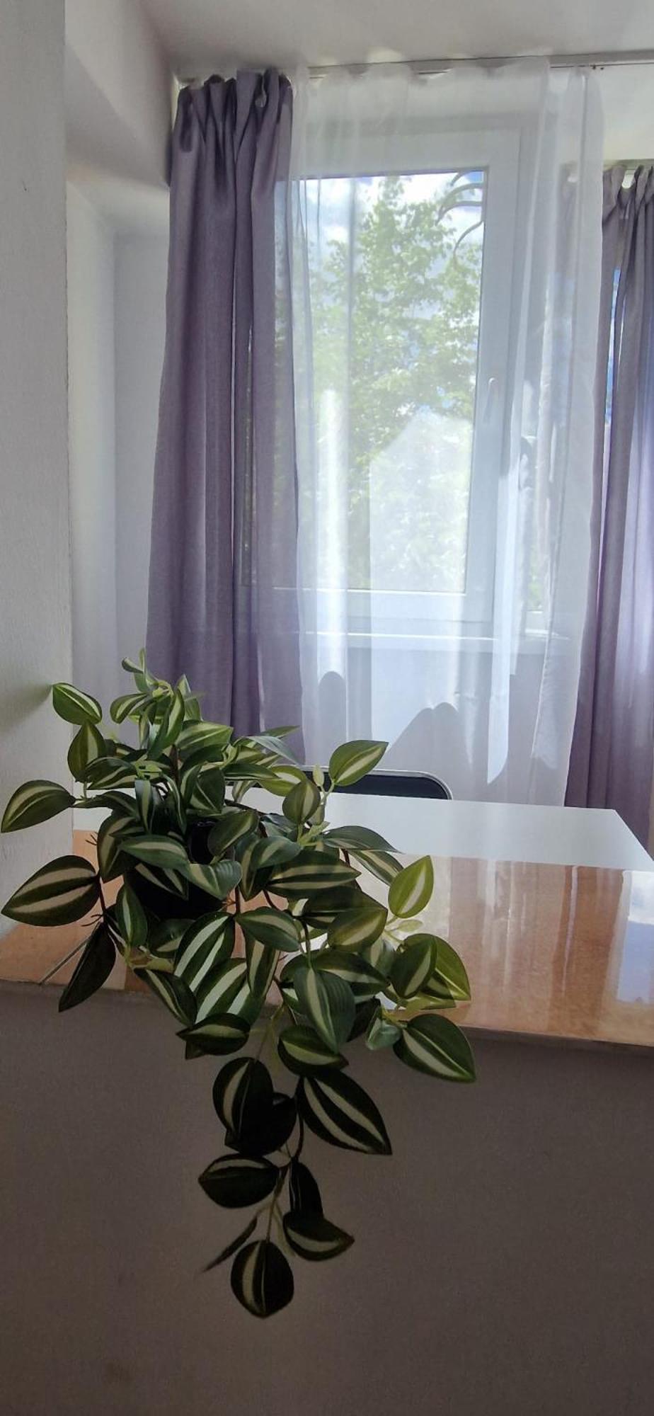 Stephanie Apartment-Centru Civic 布拉索夫 外观 照片